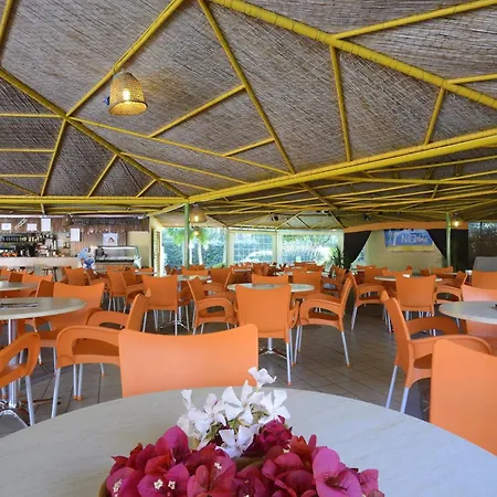 Oasis אלגהרו