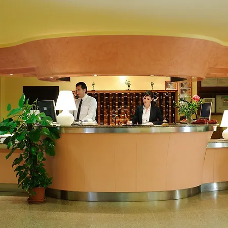 Отель Oasis 4*