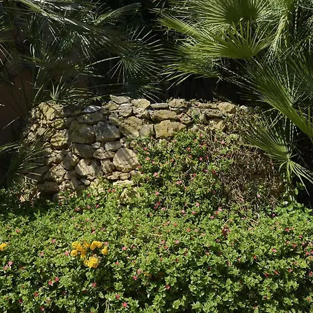 מלון Oasis אלגהרו