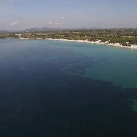 オアシス ホテル アルゲーロ