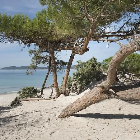 Ξενοδοχείο Oasis 4*